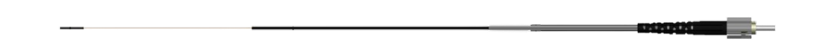 TP_PRBG20MRI.png